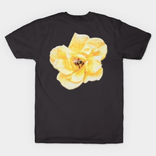 On a Yellow Rose T-Shirt